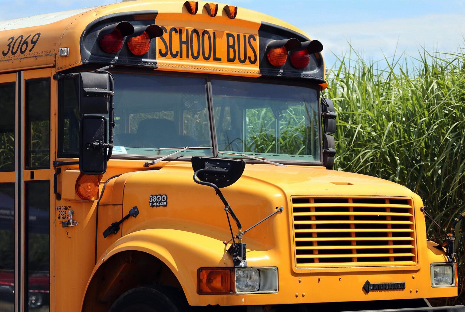 OPP reminding public of school bus road safety guidelines - My Barry's ...